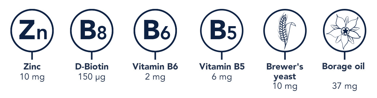 Composition of phyto pills